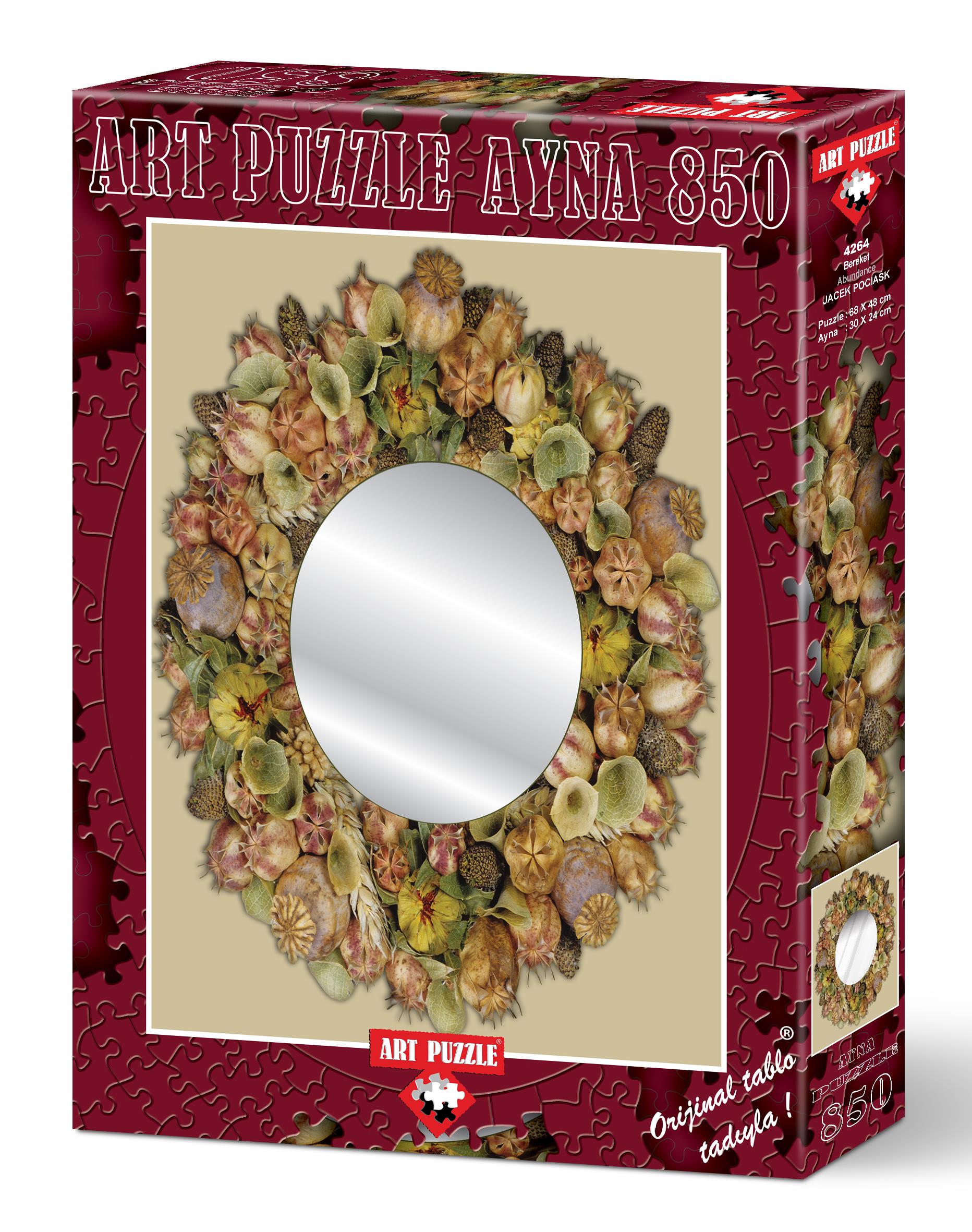 Art Puzzle 4264 Bereket Aynalı Parça 850 Puzzle