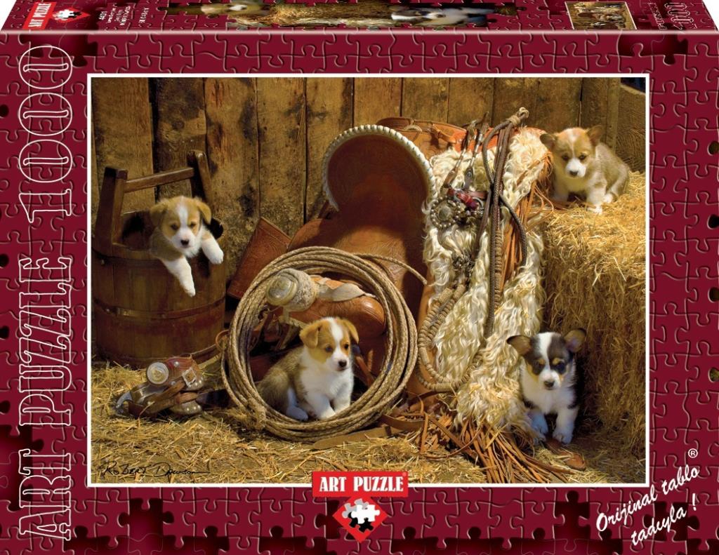 Art Puzzle 4431 Yavru Corgiler 1000 Parça Puzzle