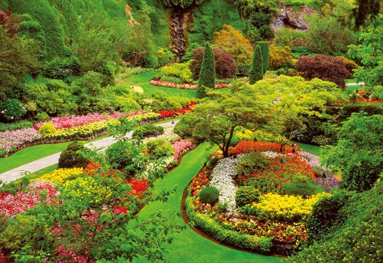 15523 Educa Puzzle Butchart Gardens, Canada 1000 Parça Puzzle