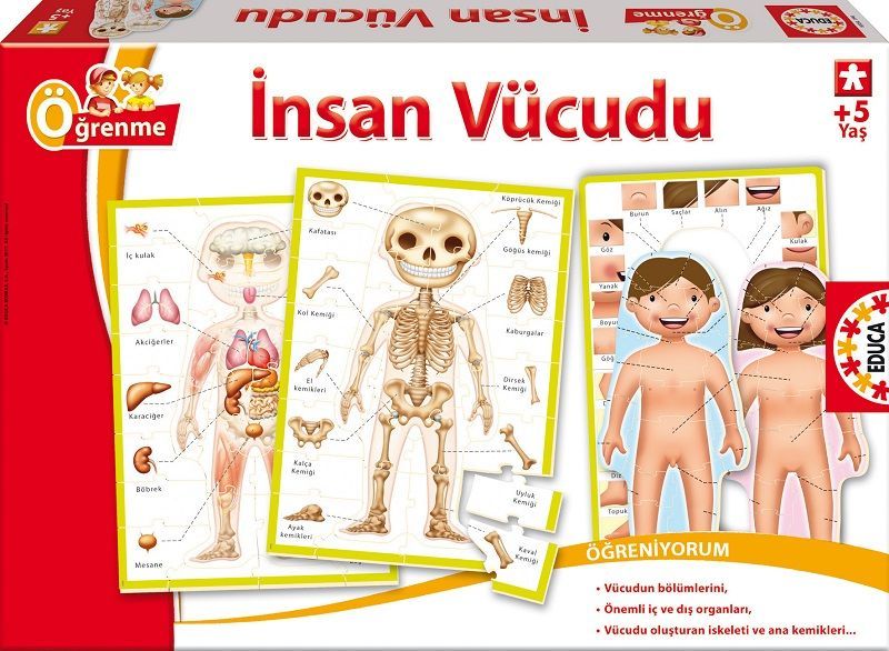 15226 Educa Puzzle İnsan Vücudu Eğitici Puzzle
