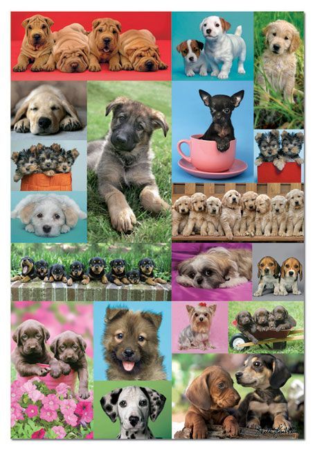 14441 Educa Puzzle Puppy Collage 1000 Parça Puzzle