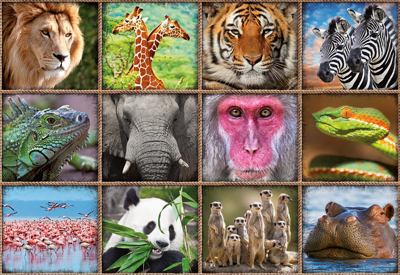 17656 Educa Puzzle Wild Animals Collage 1000 Parça Puzzle