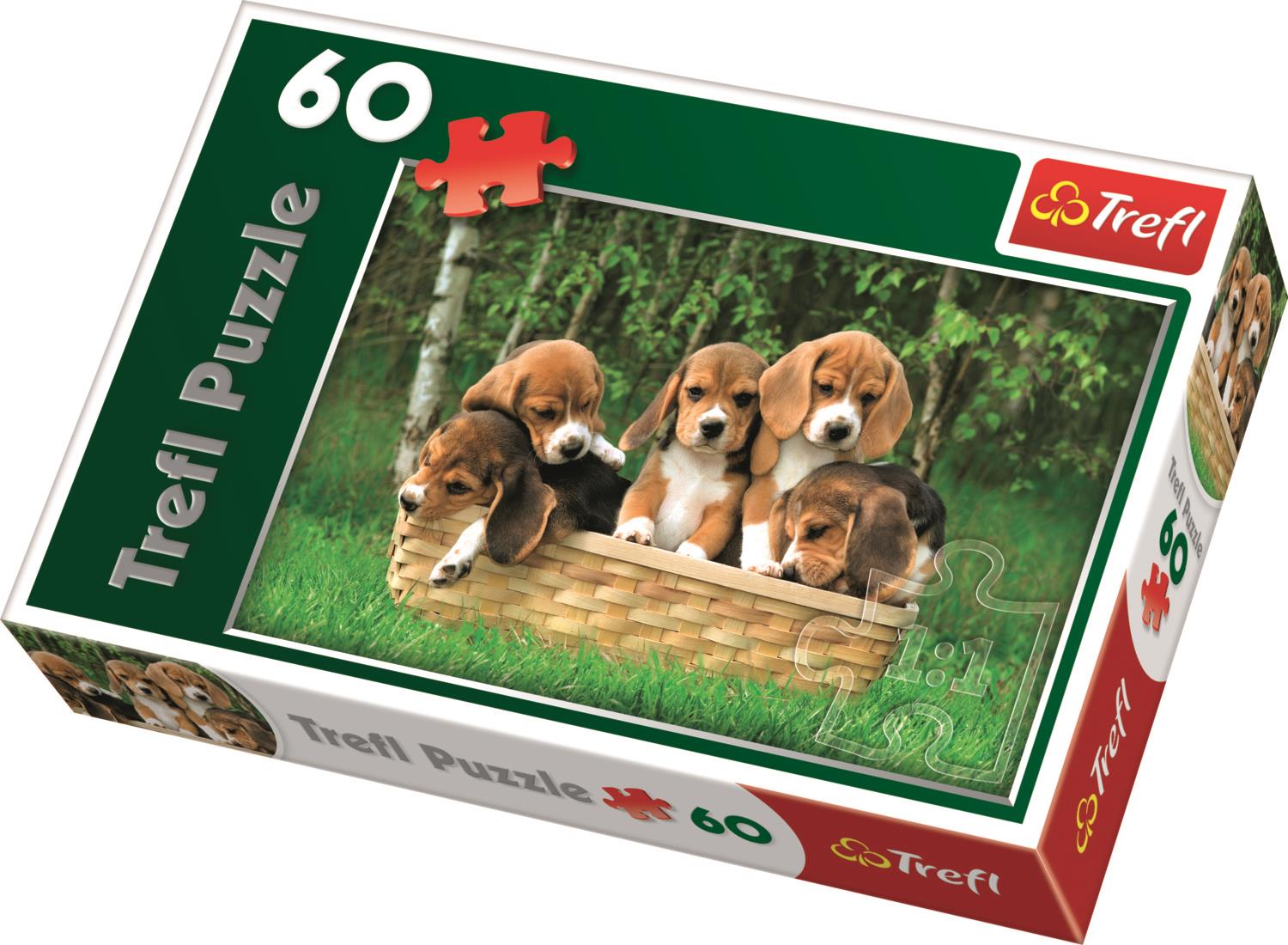 Trefl Çocuk Puzzle 17166 Beagle Puppies 60 Parça Puzzle